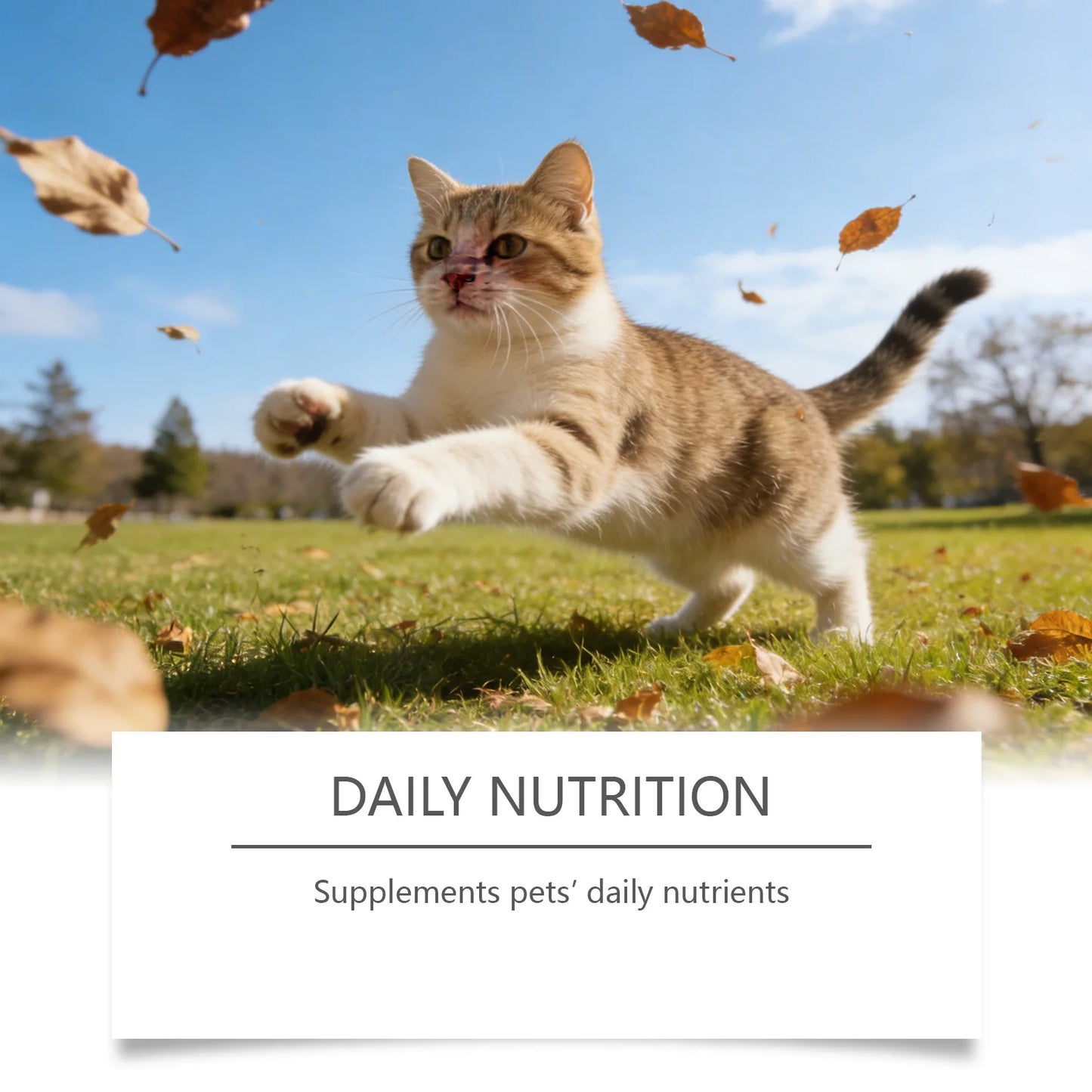 All-in-One Cat Health Powder Taurine & Multivitamin Supplement for Heart Vision Immunity Daily Dose for Kittens Adult Old Cats